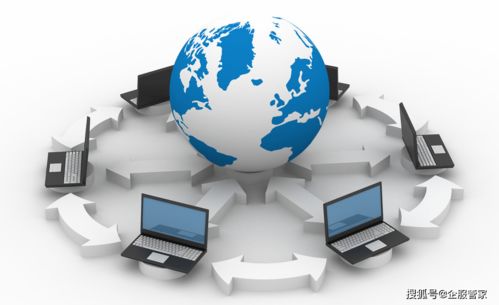 關(guān)于文網(wǎng)文,你了解多少